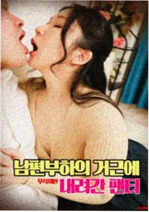 阿米尔汗影迷活动